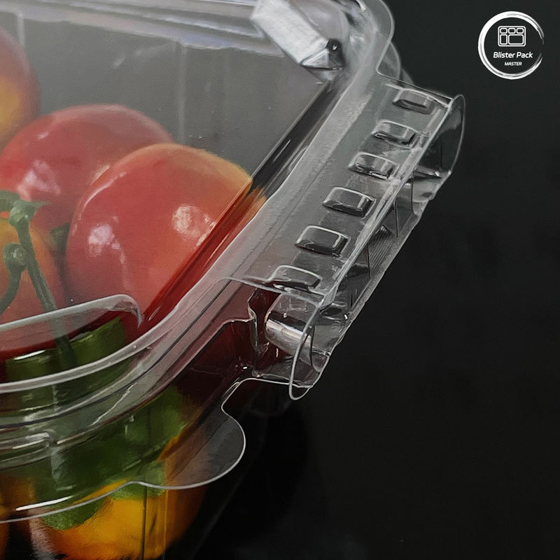 Contenitori per insalate ecocompatibili da 16 e 24 oz con coperchio attaccato per prodotti freschi