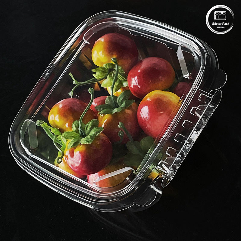 Contenitori per insalate ecocompatibili da 16 e 24 oz con coperchio attaccato per prodotti freschi