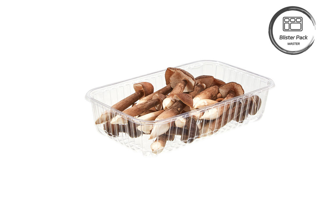 Confezionato Disposable Plastic Funghi Punnet Blister Frutta e verdura vassoi