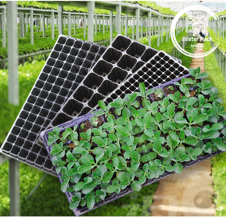 Tasti di germinazione di semi multicellulari durevoli da 21 a 128 cellule per ortaggi e fiori