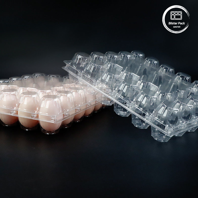 Tavolo per vesciche di uova biodegradabile 30 portauova riciclabile a prezzi competitivi