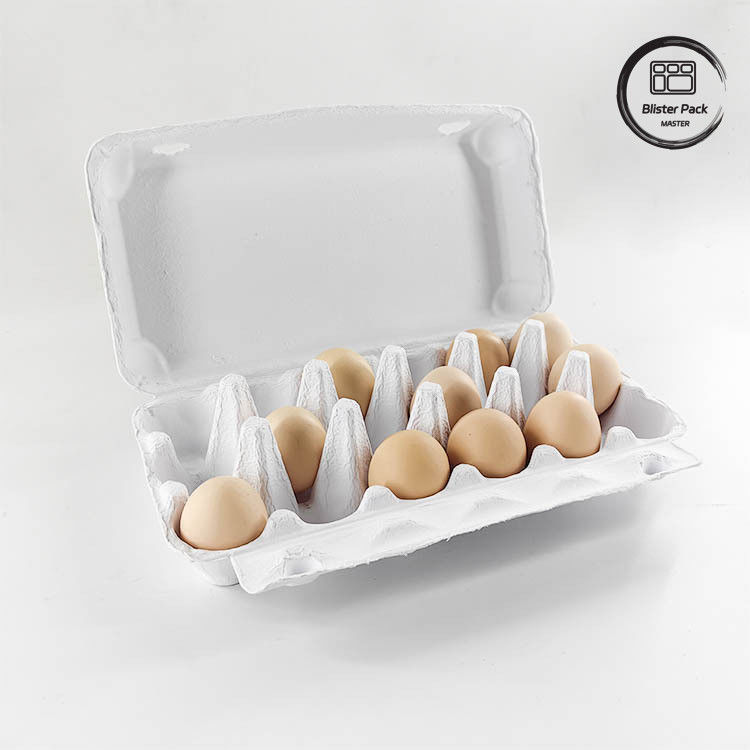 Imballaggio per uova di quaglia su misura Eco 12 6 4 Cartone di pasta di carta Cartoni di uova per uova di gallina