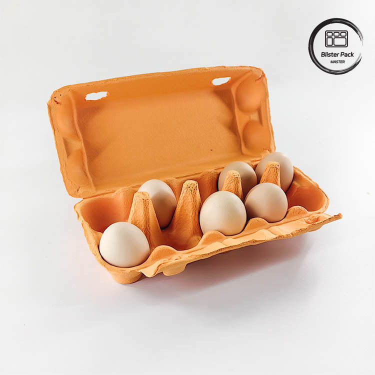 Imballaggio per uova di quaglia su misura Eco 12 6 4 Cartone di pasta di carta Cartoni di uova per uova di gallina