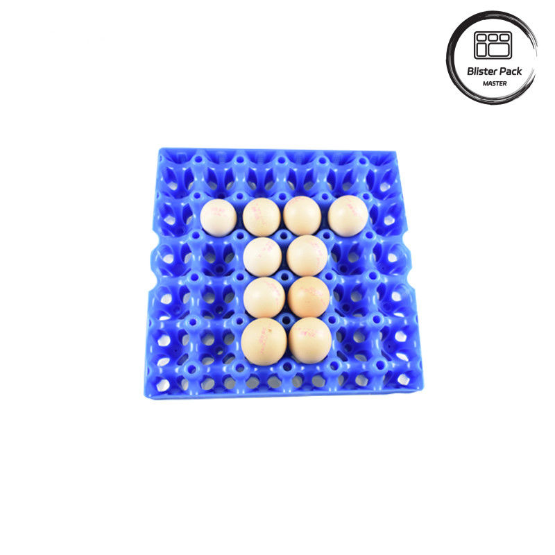 Confezioni a 30 cellule di plastica per uova di gallina