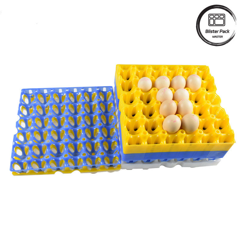 Confezioni a 30 cellule di plastica per uova di gallina