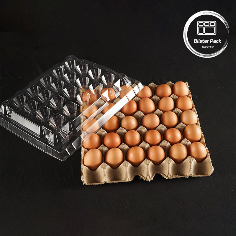 Imballaggio in vassoio per uova in plastica PET 30 buchi Cartoni S/M/L con fondo in carta