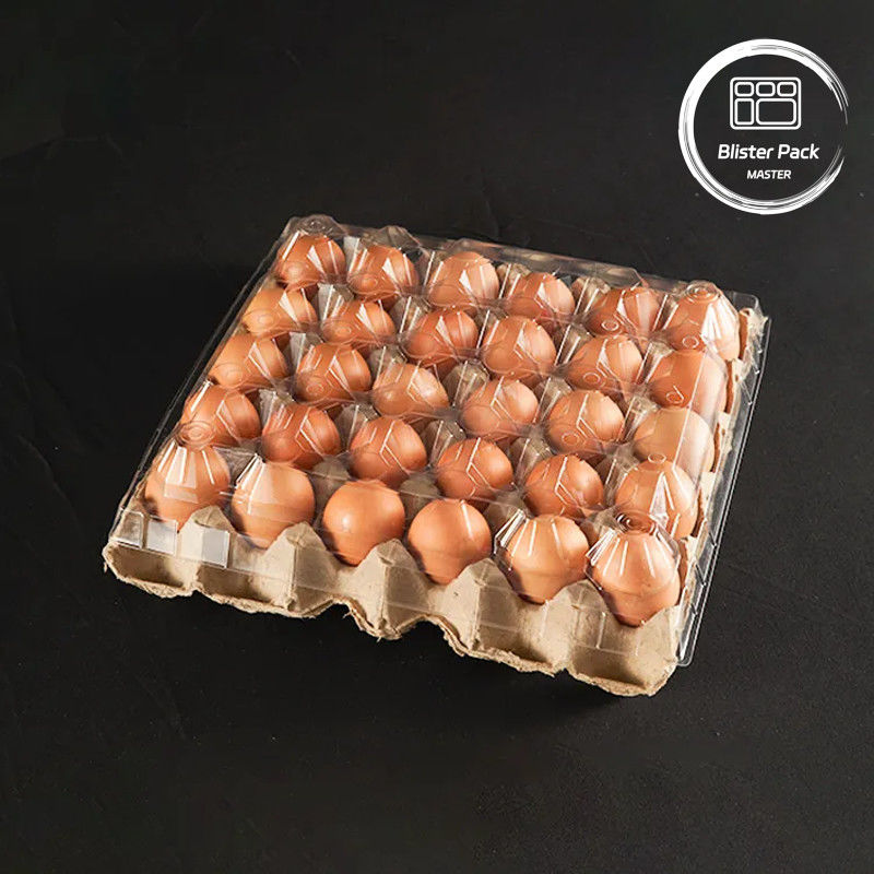 Imballaggio in vassoio per uova in plastica PET 30 buchi Cartoni S/M/L con fondo in carta