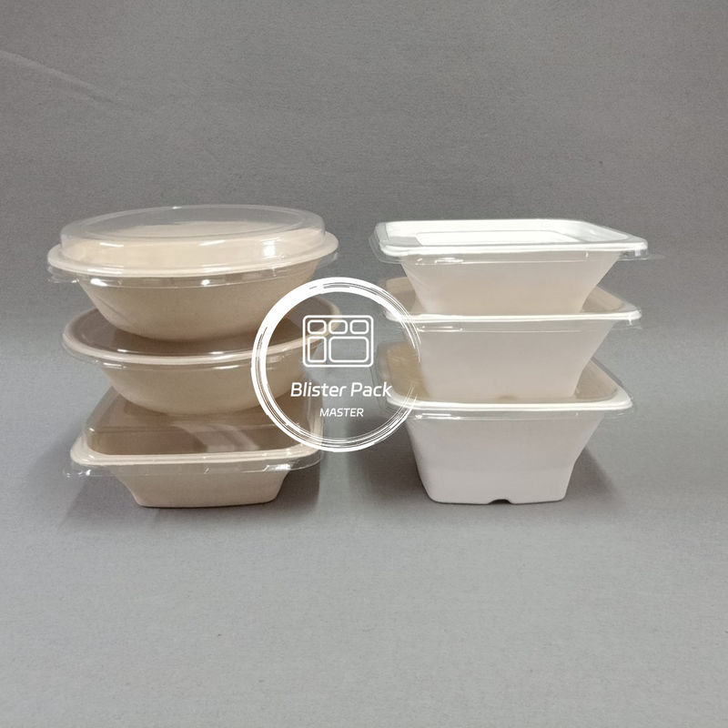 Ciotole biodegradabili di canna da zucchero senza PFAS Ciotole di zuppa e insalate usa e getta da 8 oz a 32 oz