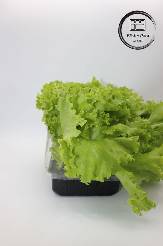 Giardini artificiali ortaggi e frutta vassoi di plastica per le sementi perfetti per la decorazione