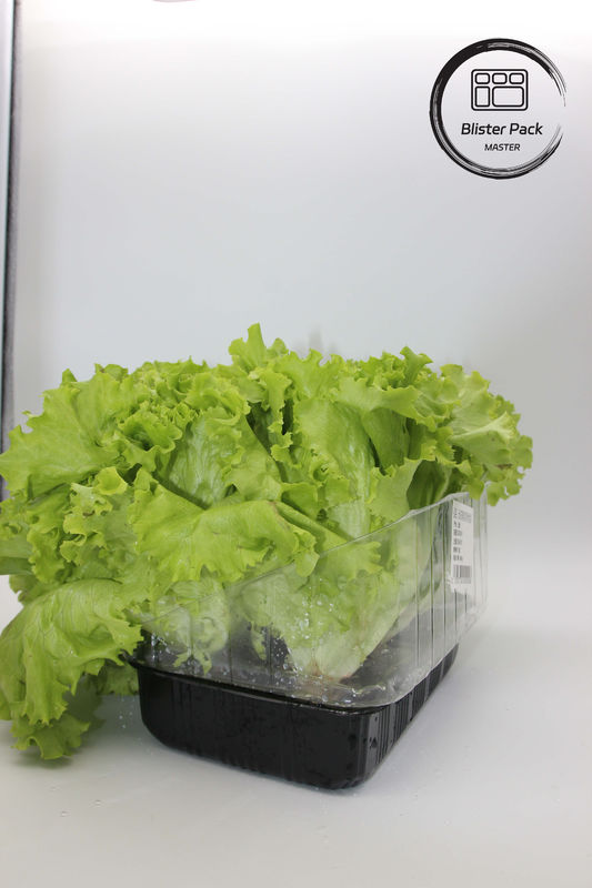Giardini artificiali ortaggi e frutta vassoi di plastica per le sementi perfetti per la decorazione