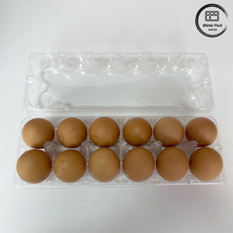 12 Conteggio Blister in plastica riutilizzabile per uova di pollo e pollo Blister termoplastico per stoccaggio e trasporto