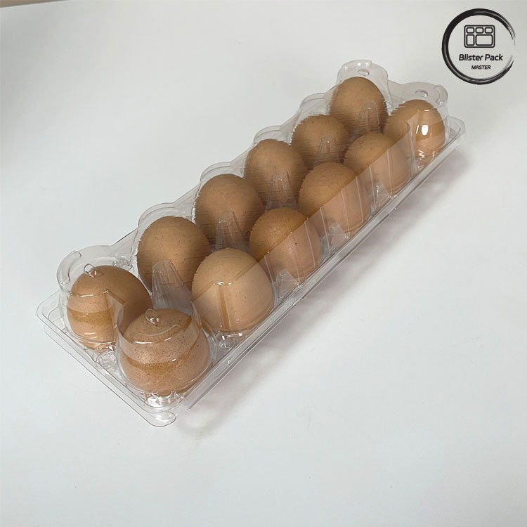 12 Conteggio Blister in plastica riutilizzabile per uova di pollo e pollo Blister termoplastico per stoccaggio e trasporto