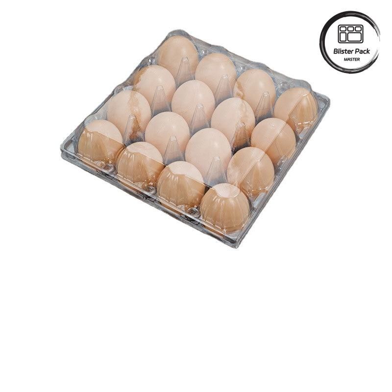 20/24/30 Cellula PET trasparente vassoio di vesciche di plastica per uova di quaglia Uova di pollo usa e getta con coperchio