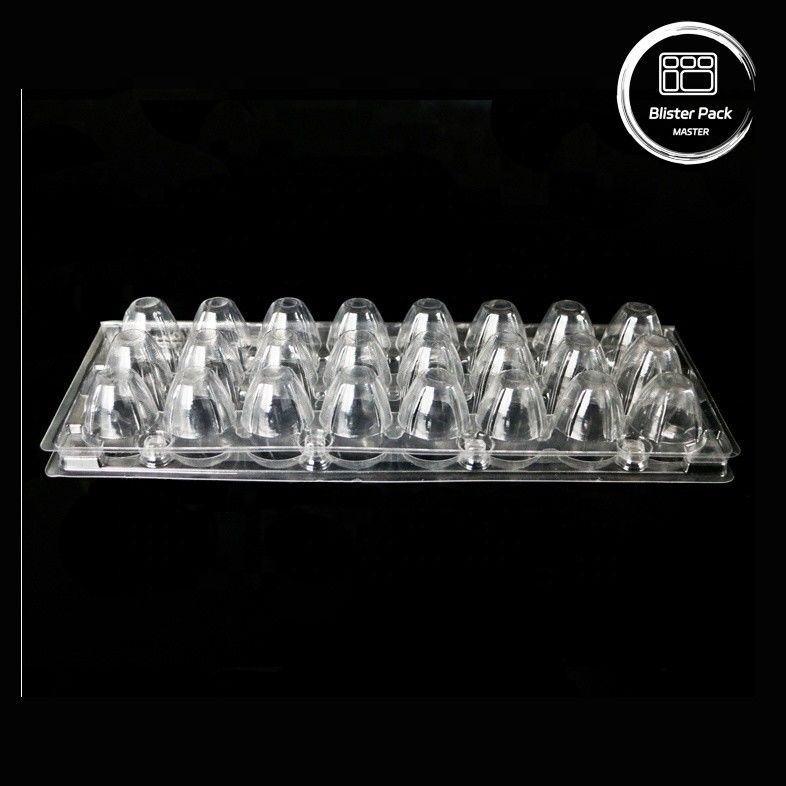 18 buchi Blister monouso Conchiglia di coccodrillo Uovo di quaglia Scatola di plastica con imballaggio sicuro