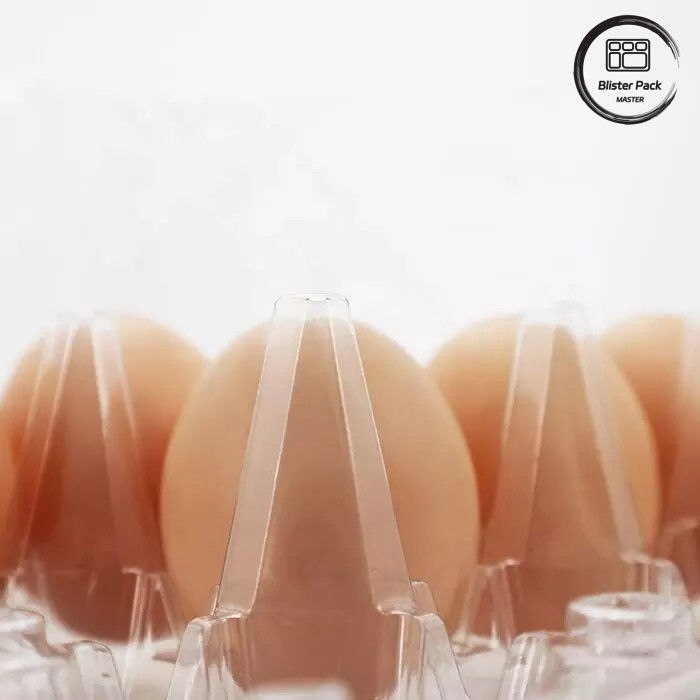 Tastiere per vesciche di uova in PET a misura personalizzata Tastiere di plastica a vuoto monouso