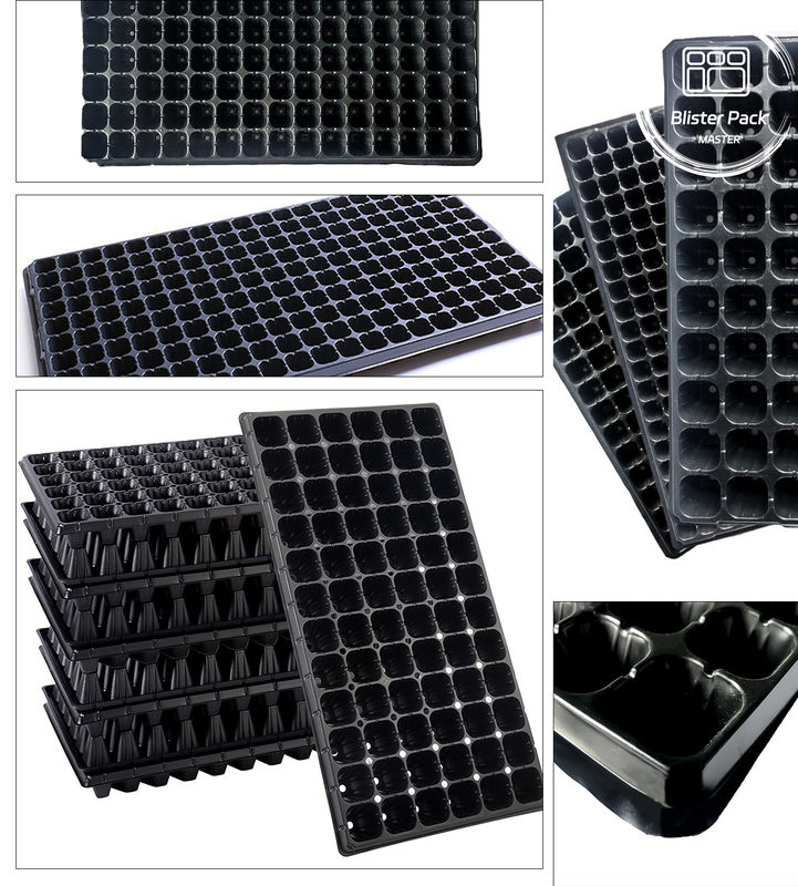 Telaio di seminatoria in plastica a 200 buchi per la crescita efficiente delle piante