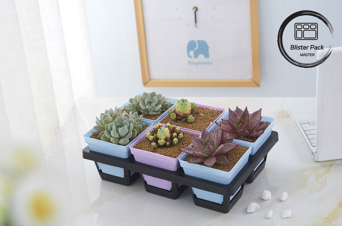 Tasti di semina in plastica multi-dimensioni 6, 12, 20, 24, 40 cellule resistenti per il giardinaggio