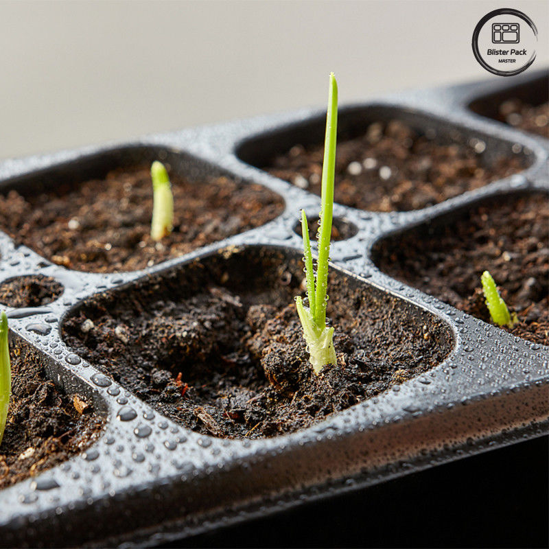 Piantone di semi di alberi da giardino PS nero, piantone di germinazione degradabile da 50 cellule per uso in vivaio