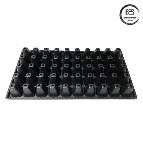 50 piante piante piante piante piante piante piante piante piante piante piante piante piante piante piante piante piante piante piante piante piante piante piante pianti piante piante piante piante piante piante piante piante piante piante piante piante piante piante piante piante piante piante piante piante piante piante piante piante piante piante piante piante piante piante piante piante piante piante piante piante piante piante piante piante piante piante piante piante piante piante piante 